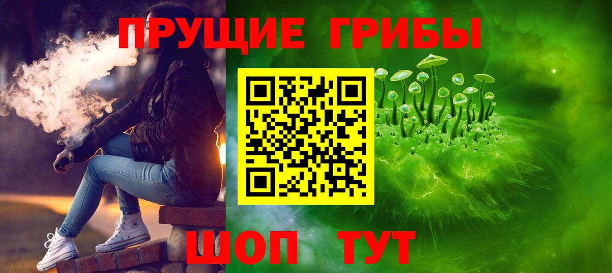 Азнакаево  Галлюциногенные грибы Psilocybine cubensis  Вход с VPN 